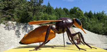 北京天寶康高新技術開發有限公司