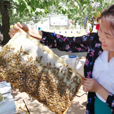 北京天寶康高新技術開發有限公司