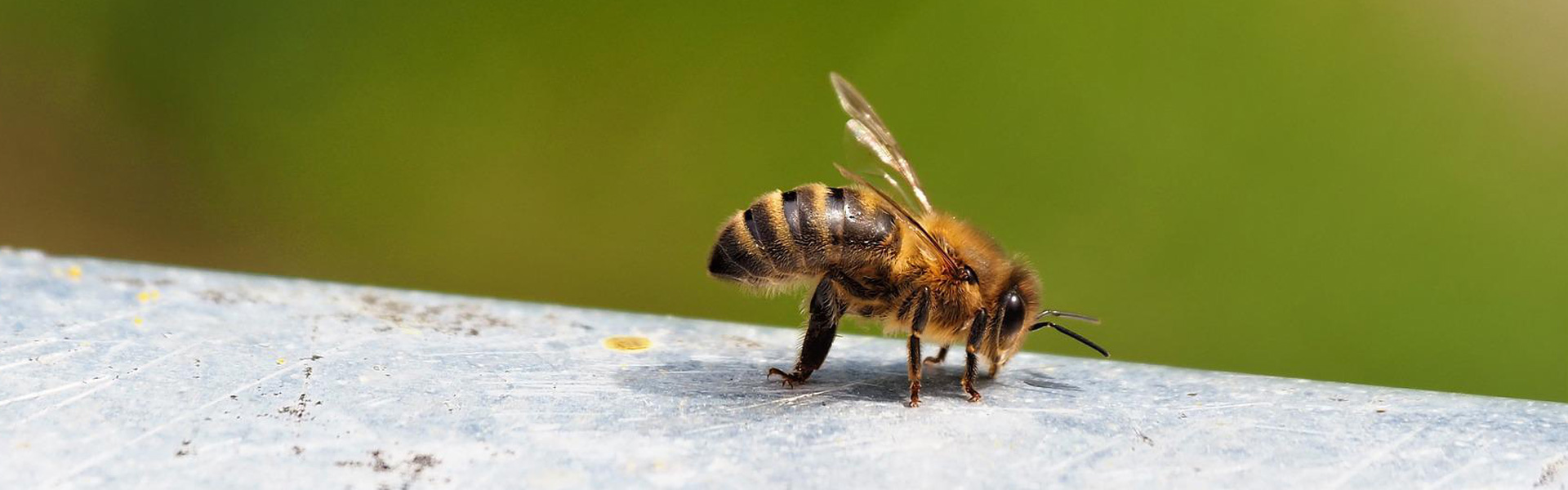 開發好產品造福為人民